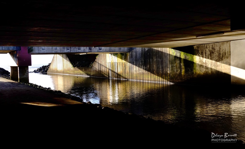 Under the Te Henui bridge by dkbarnett