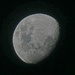 Last night's moon...... by ludwigsdiana