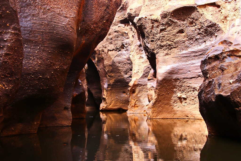 Cobbold Gorge in a Tinnie 9 by terryliv