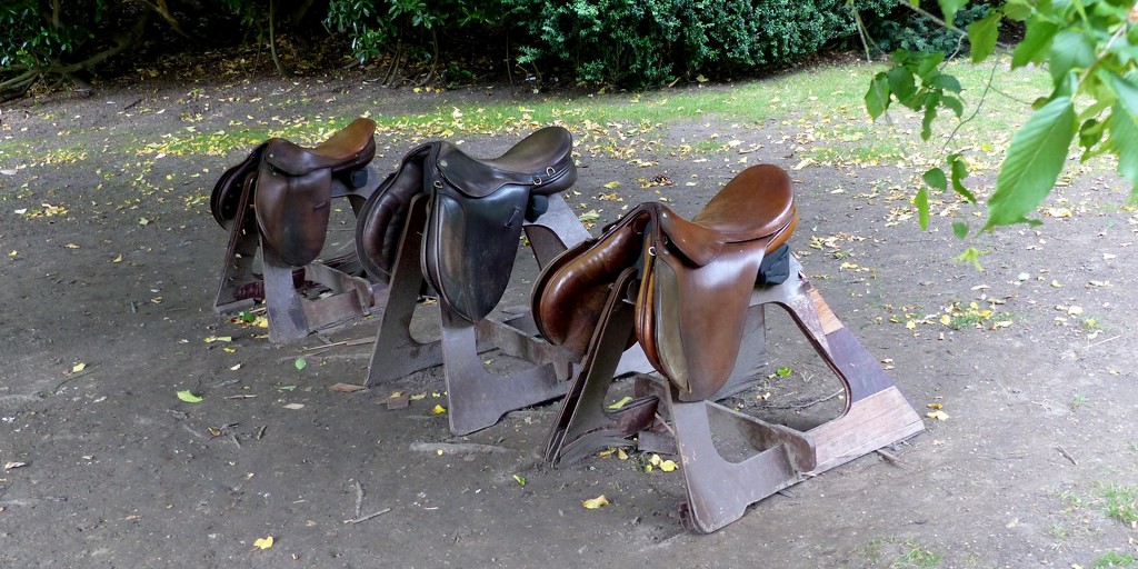 Saddles by g3xbm