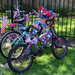 Patriotic Bikes by ingrid01