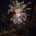 neighbor's fireworks by aecasey