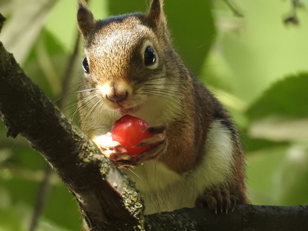 snack time by amyk