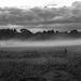Fog by farmreporter