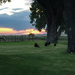 Wyoming Sunrise Skyline by jetr