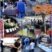 City markets are much more sophisticated! by robz