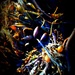 Seaweed (Boost) by marguerita