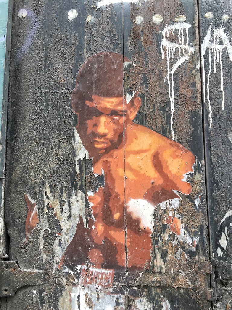 The boxer.  by cocobella