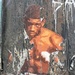 The boxer.  by cocobella