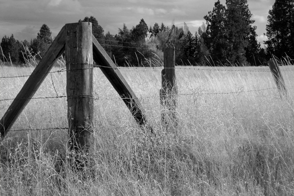 Fenced by lsquared