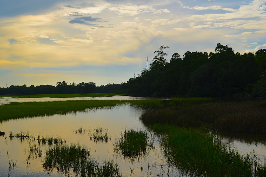 Marsh, sky and clouds, Charles Towne Landing State Historic Site by congaree