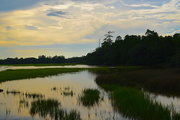 8th Jul 2017 - Marsh, sky and clouds, Charles Towne Landing State Historic Site