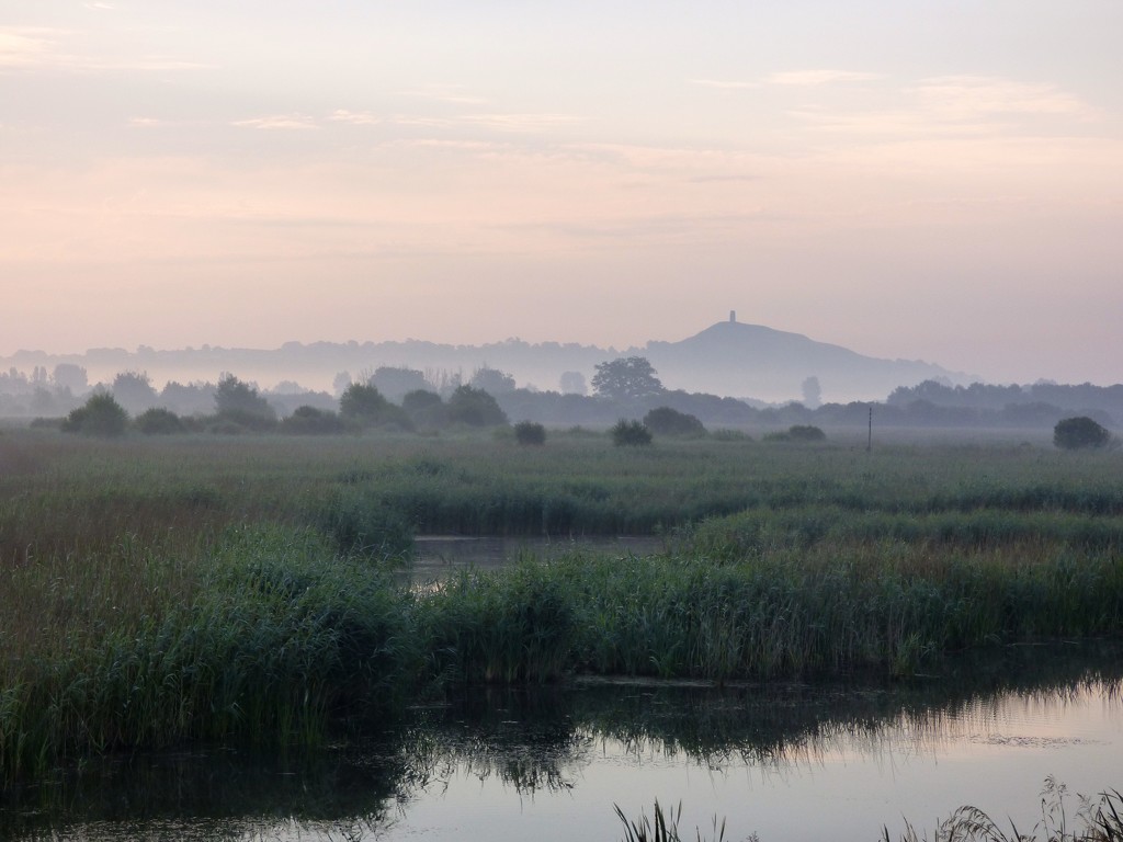 Glastonbury Tor from the misty levels by julienne1