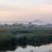Glastonbury Tor from the misty levels by julienne1