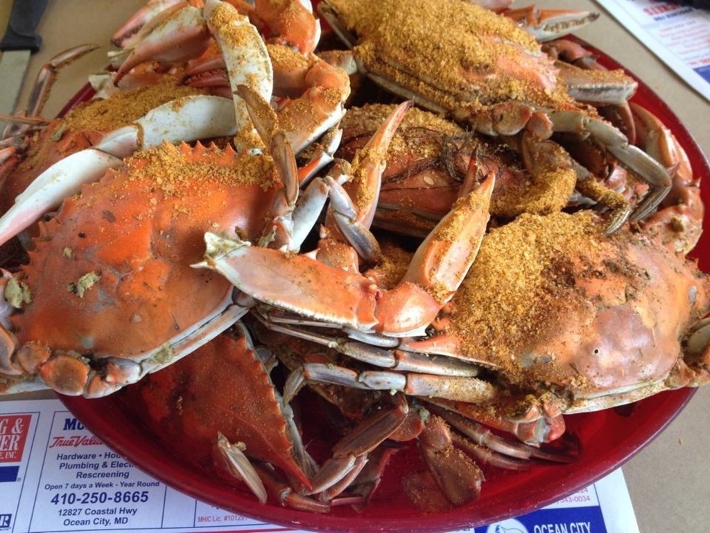 Steamed Maryland Blue Crabs by marylandgirl58