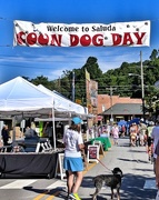 8th Jul 2017 - Coon dog day! A classic 