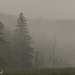Foggy morning  by radiogirl