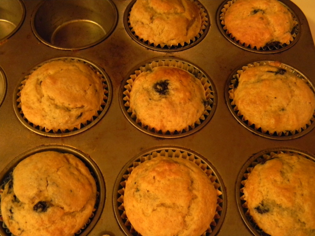 Seven Blueberry Muffins by sfeldphotos