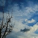 Winter sky by kiwinanna