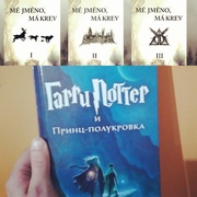 28th Jun 2017 - Harry Potter russian version