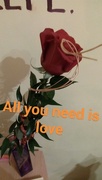 14th Feb 2017 - All you need is love