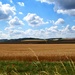 summer oxfordshire  landscape by ianmetcalfe