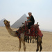 Susannah and Finnley go camel riding by sarah19