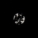 Moon Silhouette by bjchipman