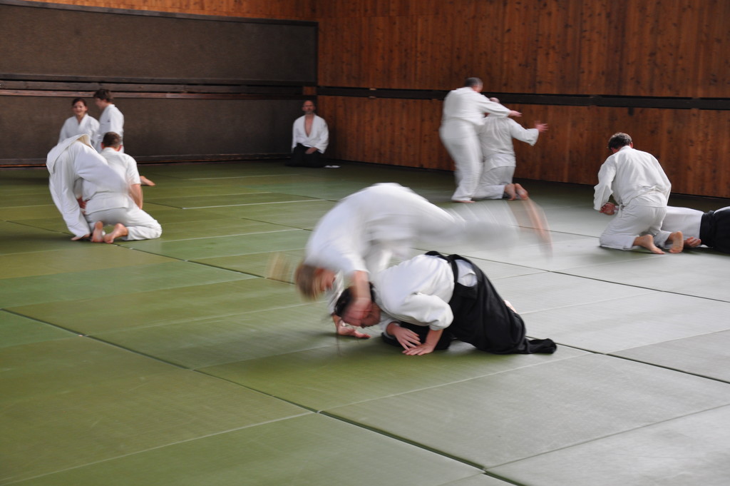 Aikido exams by jakr