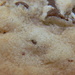 Chocolate Chip Cookie  by sfeldphotos