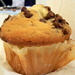 Chocolate Chip Muffin 17th by sfeldphotos