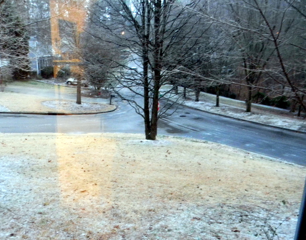 Snow and Icy Roads in Front Yard  by sfeldphotos