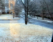 25th Jan 2013 - Snow and Icy Roads in Front Yard 
