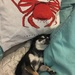 the attack of the crab.  by cocobella