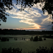 10th Jul 2017 - Sunset, Watershed Nature Center