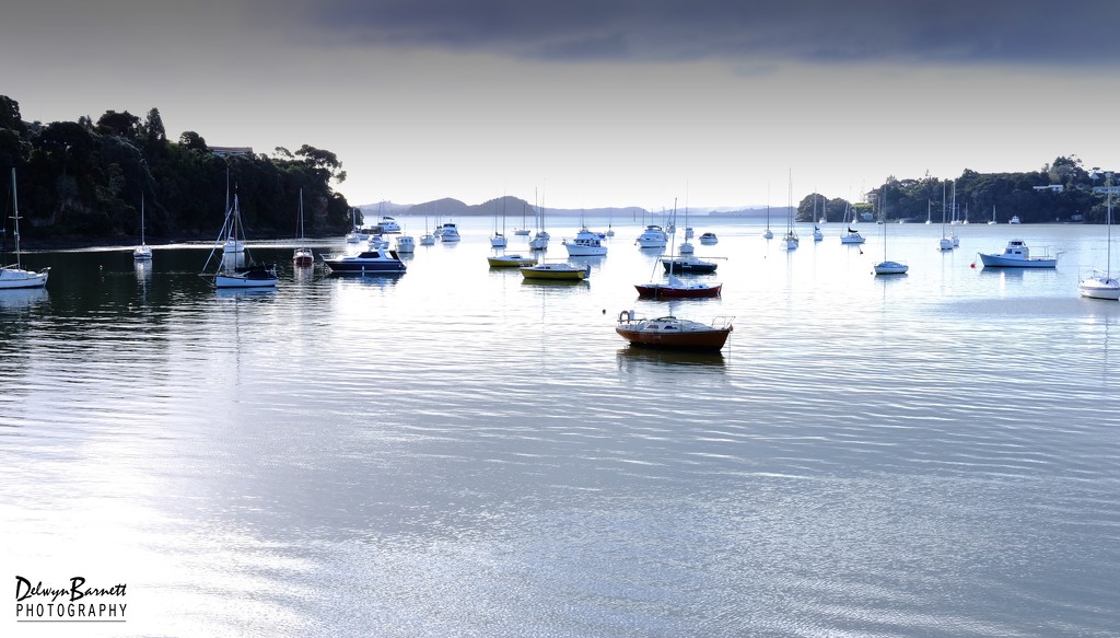 Late afternoon at Opua by dkbarnett