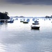 Late afternoon at Opua by dkbarnett