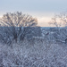 Snowy Dawn @ Del Ray Baptist Church Overlook by jbritt