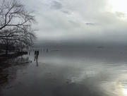 4th Jan 2017 - Early Morning Potomac River 