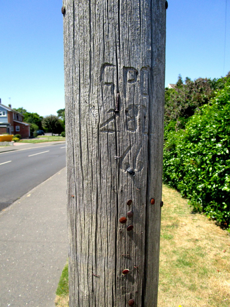 Telegraph Pole by davemockford