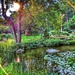 Japanese Garden at Furman by scottmurr