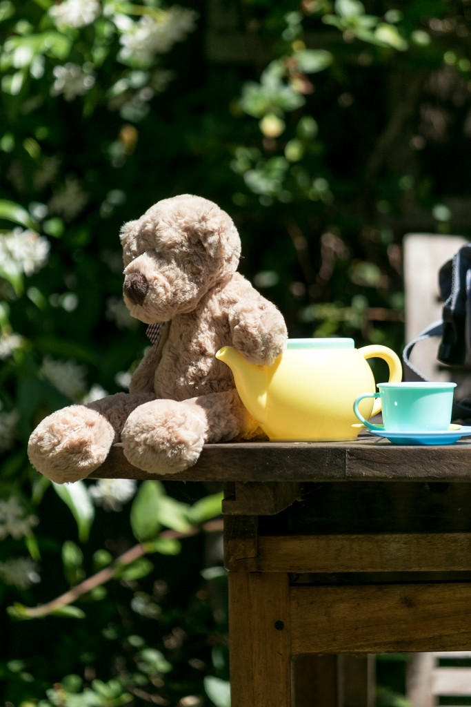 Teddy Bear's picnic by peadar