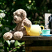 Teddy Bear's picnic by peadar