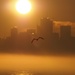 Foggy Morning Sunrise by selkie