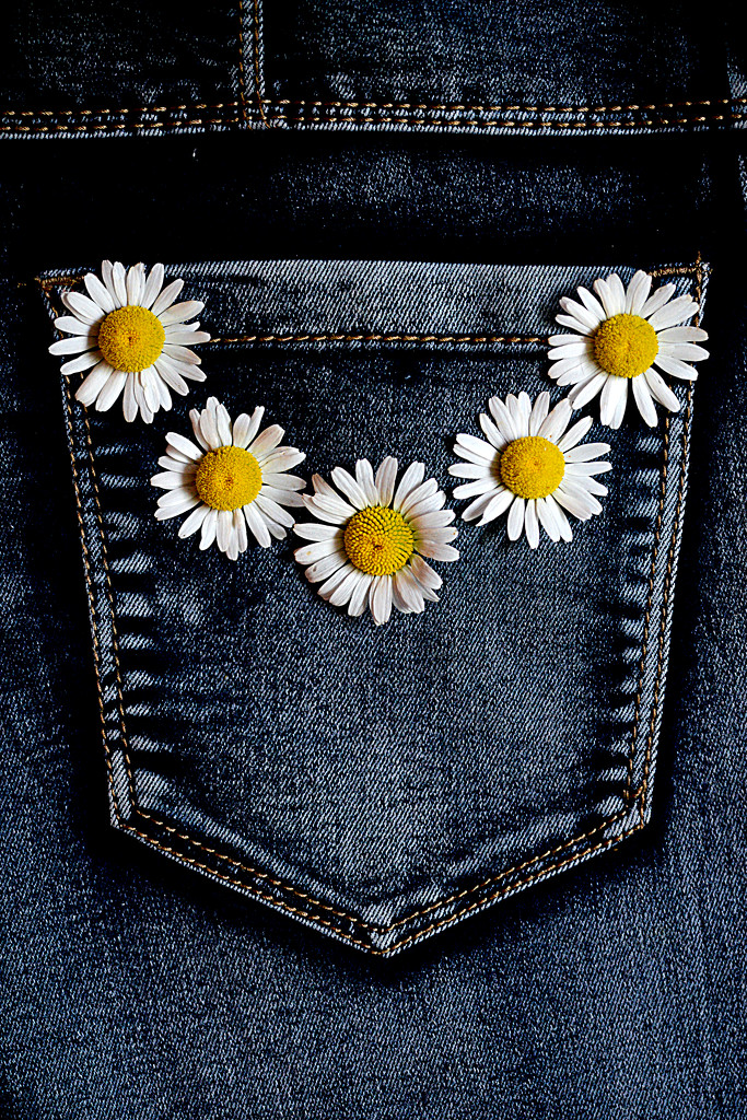 Blue Jeans and Daisies! by fayefaye