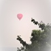Up, up and away , in my beautiful balloon !!!!!   by beryl