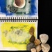 Shell and rocks by joemuli