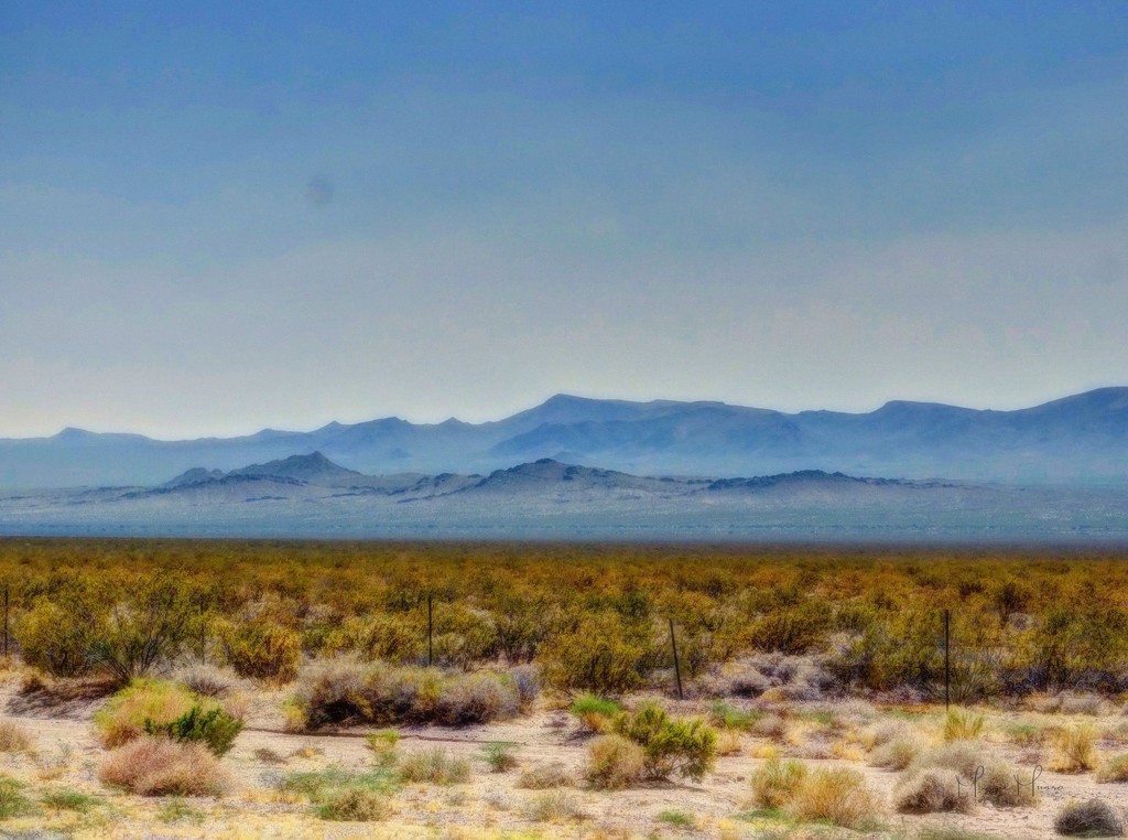 The Desert by maggiemae