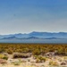 The Desert by maggiemae