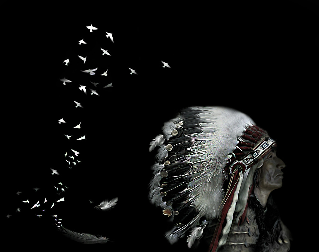 Free Feathers by jesperani